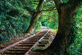 姫路・龍野発
№9892 旧国鉄倉吉線廃線跡トレッキング1